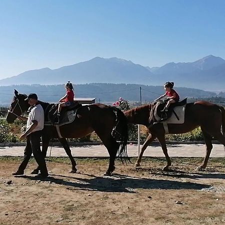 Discovery Apartment Bansko Zewnętrze zdjęcie